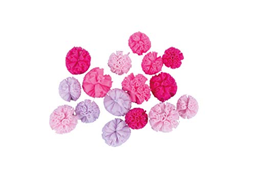 Rayher 76012264 Soft Tüll Pompons, pink Töne, sortiert, 2,5 cm + 3 cm ø, Box 16 Stück, Dekoration Hochzeit, Taufe, Kommunion, Konfirmation, Geburtstag, Pompoms aus Tüll von Rayher