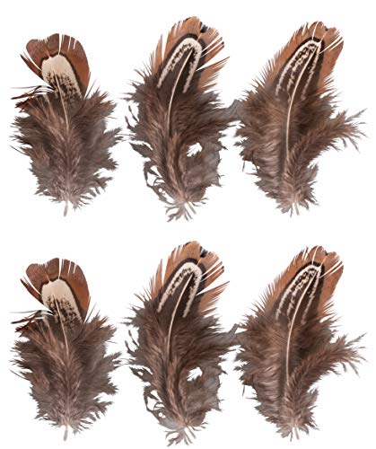 Rayher 85479538 Federn, 5-10cm, braun Rayher 85479538 Federn, 5-10cm, braun von Rayher