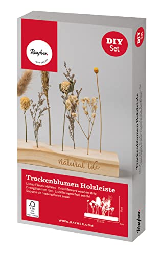 Rayher Bastelpackung Holzleiste mit Trockenblumen, Steckleiste Holz FSC zertifiziert, 22,7 x 4 cm, Dekoration Trockenblumen, 85484000 von Rayher