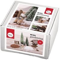 Rayher Bastelset Mini Gardening Winterdream weiß/grün/braun von Rayher