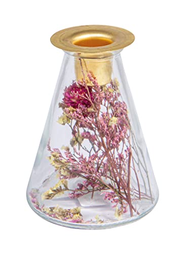Rayher Glasvase mit Trockenblumen + Kerzenhalter, 12,5 cm hoch, 8 cm ø, konisch, für Stabkerze, Trockenblumen im Glas mit Kerzenhalter, 46697000 von Rayher