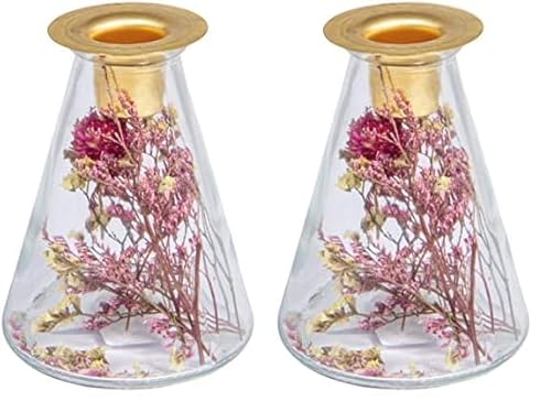 Rayher Glasvase mit Trockenblumen + Kerzenhalter, 12,5 cm hoch, 8 cm ø, konisch, für Stabkerze, Trockenblumen im Glas mit Kerzenhalter, 46697000 (Packung mit 2) von Rayher
