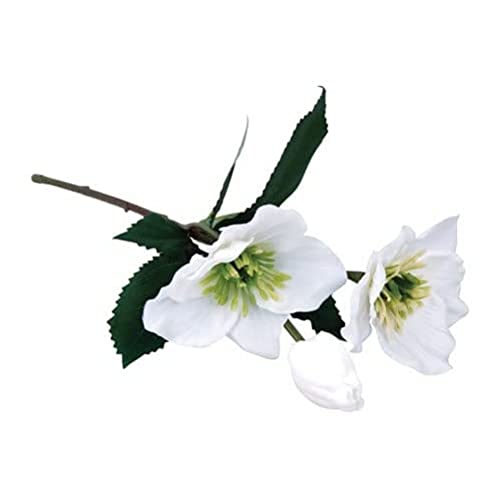 Rayher Künstliche Christrose, 2 Blüten, 1 Knospe, weiß, 34 cm, Kunstblume, 55948102 von Rayher