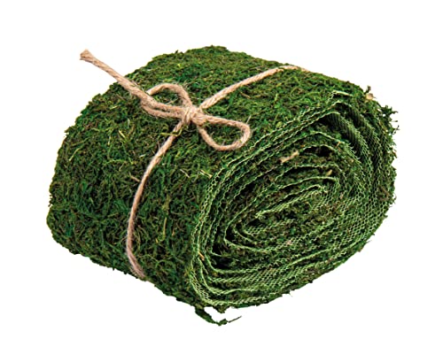 Rayher Moosband, grün, Rolle 2 m, Breite 10 cm, Naturmoos, Band zum Basteln und Dekorieren, 5531800 von Rayher