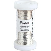 Rayher Basteldraht silber 0.3 mm x 100 m von Rayher