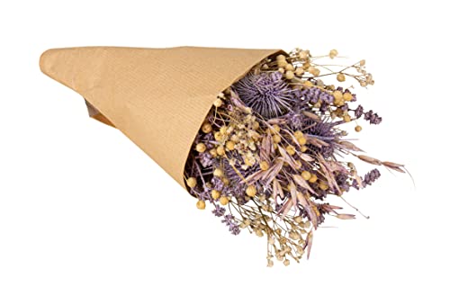 Rayher Trockenblumen-Strauß mit Papiermanschette, flieder, 28 cm, Strauß Trockenblumen, echte getrocknete Blumen, Trockenblumen Deko, 85490308 von Rayher