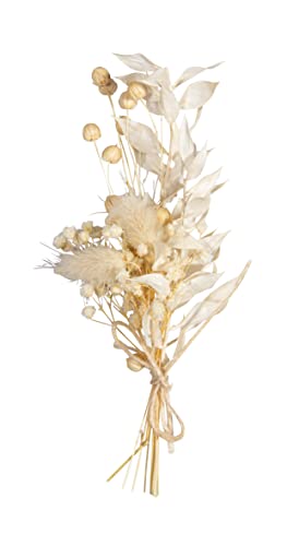 Rayher Trockenblumen-Strauß, elfenbein/hellbeige Töne, Mini-Strauß Trockenblumen, Bündel 18 – 20 cm, echte getrocknete Blumen, Trockenblumen Deko, 85491104 von Rayher