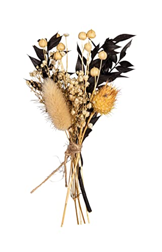 Rayher Trockenblumen-Strauß, schwarz/beige Töne, Mini-Strauß Trockenblumen, Bündel 18 – 20 cm, echte getrocknete Blumen, Trockenblumen Deko, 85491576 von Rayher