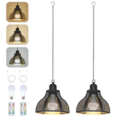 Rayofly 2 Stücke Akku Pendelleuchte Innen, Outdoor Hängelampe mit Batterie, Schwarz Hängeleuchte ohne Stromanschluss, Außen Gartenleuchten mit Birne & Fernbedienung, Outdoor Lampe für Terrasse, Balkon von Rayofly