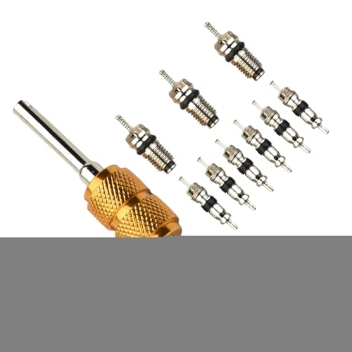 Raypontia AC Ventil Kit,KFZ Kühlung Reparatur Werkzeuge - Präzisions Satz 10 Ventilkerne Kit für Klimaanlagen Kfz und Wohnmobile Raypontia AC Ventil Kit,KFZ Kühlung Reparatur Werkzeuge - Präzisions Satz 10 Ventilkerne Kit für Klimaanlagen Kfz und Wohnmobile von Raypontia