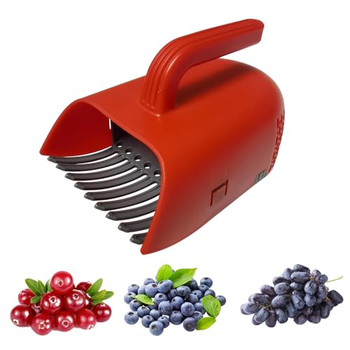 Raypontia Beerenpicker, Blaubeerpflücker, Beerenkamm Handheld Werkzeug, Schaufel Werkzeug Beerenkamm Für Heidelbeeren, Preiselbeeren, Brombeeren, Erntemaschine Garten Outdoor Tools Raypontia Beerenpicker, Blaubeerpflücker, Beerenkamm Handheld Werkzeug, Schaufel Werkzeug Beerenkamm Für Heidelbeeren, Preiselbeeren, Brombeeren, Erntemaschine Garten Outdoor Tools von Raypontia