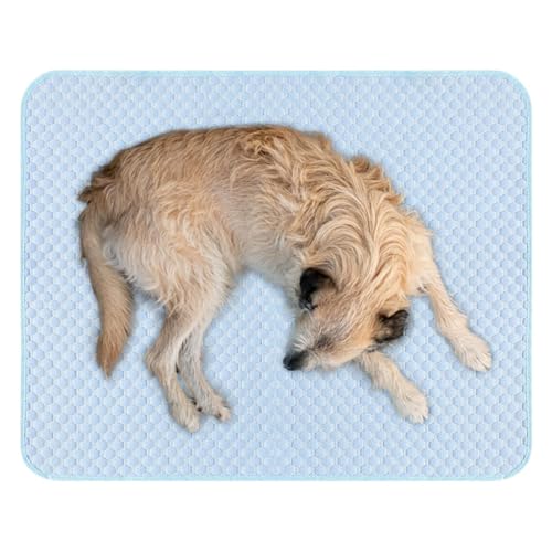 Raypontia Hundekühlmatte,Haustier Kühlmatte | Leicht Waschbare Unterlage Für Kleintiere Zuhause von Raypontia