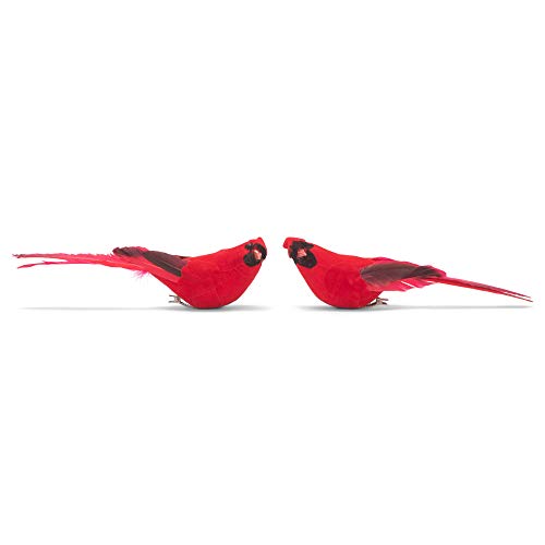 Raz 17,8 cm Clip On Cardinal Ornament Set mit 2 Stück sortiert von Raz
