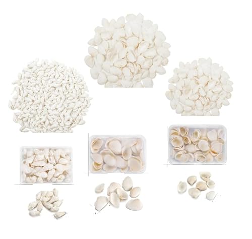 Rbleote 3 Kartons Muscheln zum basteln,deko Muscheln,Muscheln für armbänder Natürliche Jakobsmuscheln Muschel Weiße für DIY Kunsthandwerk, Vase Füllstoffe,Hochzeit Dekoration,Etwa 90 Artikel Rbleote 3 Kartons Muscheln zum basteln,deko Muscheln,Muscheln für armbänder Natürliche Jakobsmuscheln Muschel Weiße für DIY Kunsthandwerk, Vase Füllstoffe,Hochzeit Dekoration,Etwa 90 Artikel von Rbleote