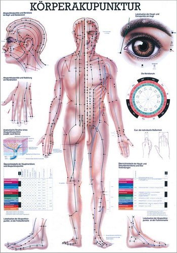 Ruediger Anatomie MIPO10LAM Körperakupunktur Tafel, 24 cm x 34 cm, laminiert von Rdiger- Anatomie GmbH