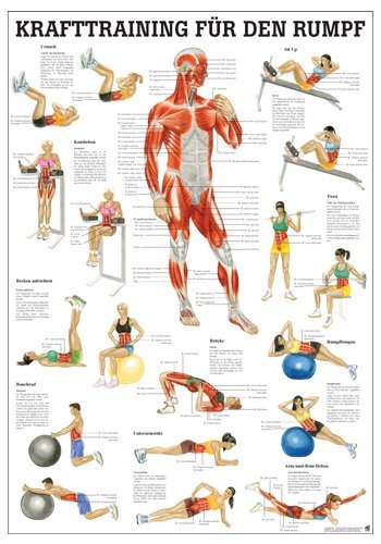 Ruediger Anatomie MIPO82 Krafttraining für den Rumpf Tafel, 24 cm x 34 cm Ruediger Anatomie MIPO82 Krafttraining für den Rumpf Tafel, 24 cm x 34 cm von Rdiger- Anatomie GmbH