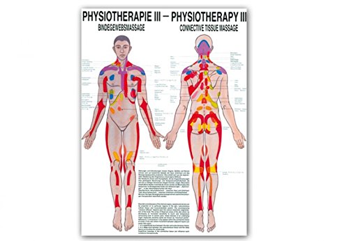 Ruediger Anatomie PHYS III Bindegewebsmassage Tafel, 50 cm x 70 cm, Papier von Rdiger- Anatomie GmbH