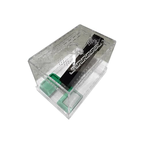 Rdxanc Acryl-Grillen-Behälter mit Futterwannen und belüftetem Design zur Beobachtung von Rdxanc