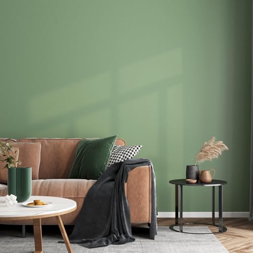 ReWallpaper 60cm×5m Selbstklebende Tapete Grün Klebefolie Möbel Matt Selbstklebende Folie Möbel Grün für Tischplatte Fensterbank Schubladen Tapeten Wohnzimmer Badezimmer Wasserfest Hell Grün Uni von ReWallpaper