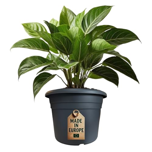 Pflanzkübel Pflanztopf Blumentopf Blumenkübel Kunststoff UV-Beständig Wetterfest Bodenlöcher Made in EU Rund - Anthrazit 30 x 21,5 cm von ReWu