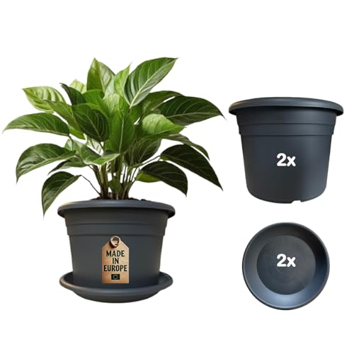 ReWu Pflanzkübel & Untersetzer 2er-Set - 2X Pflanztopf Blumentopf mit 2X Untersetzer Pflanzkübel Kunststoff UV-Beständig Wetterfest Bodenlöcher Made in EU - Anthrazit 25 x 18 cm ReWu Pflanzkübel & Untersetzer 2er-Set - 2X Pflanztopf Blumentopf mit 2X Untersetzer Pflanzkübel Kunststoff UV-Beständig Wetterfest Bodenlöcher Made in EU - Anthrazit 25 x 18 cm von ReWu