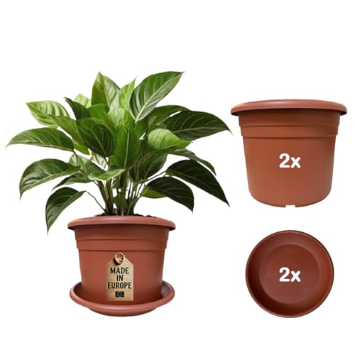 ReWu Pflanzkübel & Untersetzer 2er-Set - 2X Pflanztopf Blumentopf mit 2X Untersetzer Pflanzkübel Kunststoff UV-Beständig Wetterfest Bodenlöcher Made in EU - Terrakotta 25 x 18 cm ReWu Pflanzkübel & Untersetzer 2er-Set - 2X Pflanztopf Blumentopf mit 2X Untersetzer Pflanzkübel Kunststoff UV-Beständig Wetterfest Bodenlöcher Made in EU - Terrakotta 25 x 18 cm von ReWu