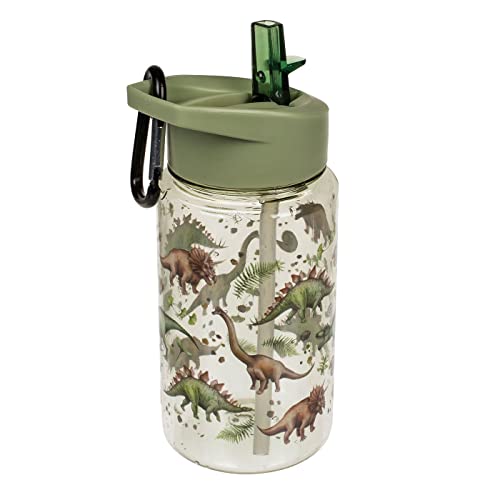 ReWu Trinkflasche Trinkgefäß Kinderflasche Dinosaurier-Print mit Trinkhalm/Strohhalm und Karabiner-Haken Einschulung Geschenkidee Schultag, 450ml von ReWu