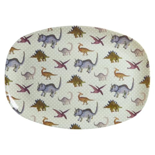 Rice Melamin Teller Tablet Dinosaurier Motiv Geschirr Melamingeschirr Kindergeschirr Kinder Camping BBQ Picknick Bruchsicher BPA-frei Wiederverwendbar Plastikgeschirr 30 x 22 cm von ReWu
