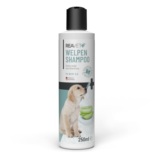 ReaVET Welpenshampoo Aloe Vera 250ml – extra mild für Hunde Welpen I Hundeshampoo, Shampoo für Hunde - glänzendes & leicht kämmbares Fell, Parfumfrei, Hundeshampoo Sensitiv ReaVET Welpenshampoo Aloe Vera 250ml – extra mild für Hunde Welpen I Hundeshampoo, Shampoo für Hunde - glänzendes & leicht kämmbares Fell, Parfumfrei, Hundeshampoo Sensitiv von ReaVET