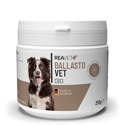 ReaVET BallastoVET für Hunde 250g – schnelle Unterstützung bei Verstopfungen beim Hund, bei akuten & chronischen Verstopfungen & festem KOT, Verdauungshilfe für Hunde, schnelle Hilfe bei Darmträgheit von ReaVET