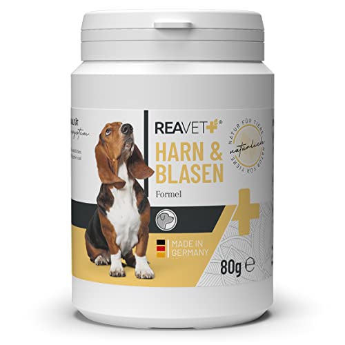 ReaVET Blasen-Formel für Hunde 80g - Unterstützt Blasenfunktion bei Blasenschwäche, Inkontinez, Harnverlust & Urinverlust, Immunsystem & Stoffwechsel von ReaVET