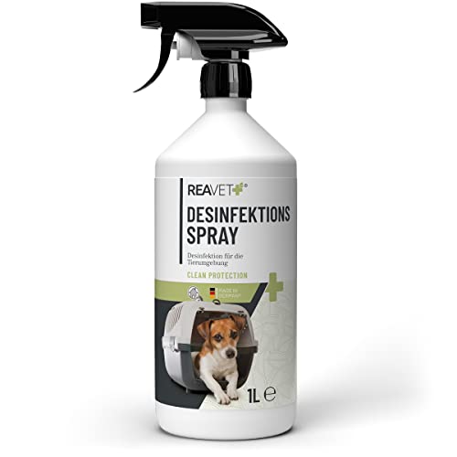 ReaVET Desinfektionsspray für die Hunde & Haustierumgebung 1L – Flächen Desinfektionsmittel groß, Desinfektions Reiniger für Oberflächen und Boden gegen Giardien, Pilze & Bakterien, Hygienespray von ReaVET