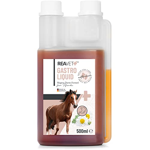ReaVET Gastro Liquid für Pferde 500ml – Darmsanierung Pferd I Unterstützt die Darmflora & natürliche Darmregulierung - sekundierend bei Durchfall oder Blähungen von ReaVET