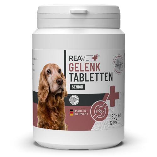 ReaVET Gelenktabletten Hund Senior - 120 Stück für 8 Monate - Gelenk-Tabletten für ältere Hunde mit Grünlippmuschel, MSM & Teufelskralle I nach behandelter Arthrose, Arthritis von ReaVET