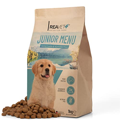 ReaVET Hundefutter Trocken - Junior Menü mit Lachs 1kg, Getreidefrei, Hundetrockenfutter Junior bis zum 18 Monat, Gesundes Trockenfutter Junior Hund, Hoher Fleischanteil, Für alle Hunderassen von ReaVET