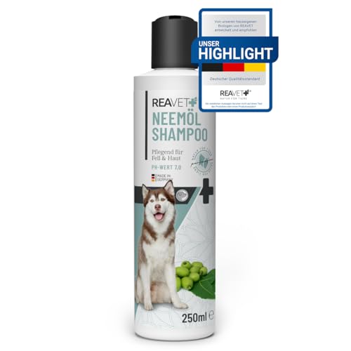 ReaVET Neemöl Shampoo für Hunde 250ml - Hundeshampoo gegen Juckreiz, Milben, Flöhe, Zecken, Hautfreundlich, Pflegend & leicht kämmbar, Fellpflege & Fellglanz, Angenehm im Geruch von ReaVET
