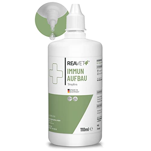 ReaVET Immun Aufbau-Tropfen für Hunde, Katzen & Haustiere 110ml - Stärkung des Immunsystem, Abwehrkraft I Vitamine für Hunde, Multivitamin Liquid wertvolle, rein natürliche Vitamine & Mineralien von ReaVET