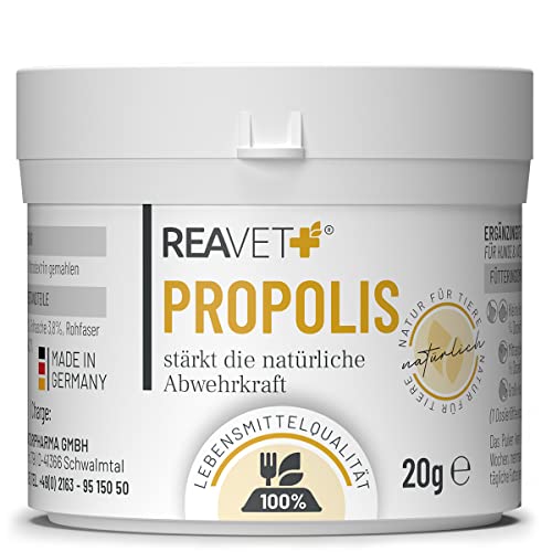ReaVET Propolis Pulver für Hunde & Katzen 20g – in Lebensmittelqualität, Natürliche Unterstützung Immunsystem & Vitale Haut durch Kraft der Natur, Hochwertiges Propolispulver stärkt die Abwehrkraft von ReaVET