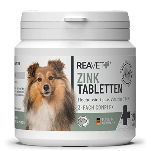 ReaVET Zink Tabletten für Hunde 120 Stück – Hochdosiert mit Vitamin C & E, Zinktabletten Plus Vitamine bei trockener Haut, Haarausfall, Zink Hund für Krallen & Fell von ReaVET
