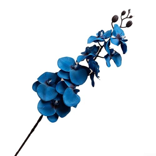 9 Köpfe Phalaenopsis Orchidee Seide Blume Zweig für Party und Geschäft Dekoration (B) von ReachMall