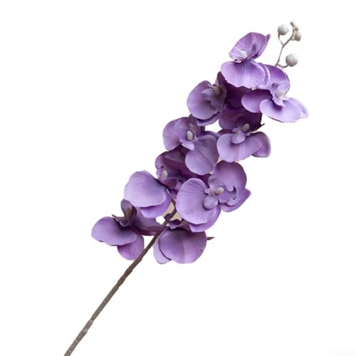 9 Köpfe Phalaenopsis Orchidee Seide Blume Zweig für Party und Geschäft Dekoration (F) von ReachMall