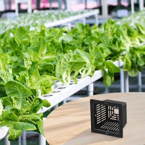 Innovatives Design, 10 Stück Wasserkultur-Topf-Maschen zur Unterstützung gesunder Wachstumspraktiken (schwarz) von ReachMall