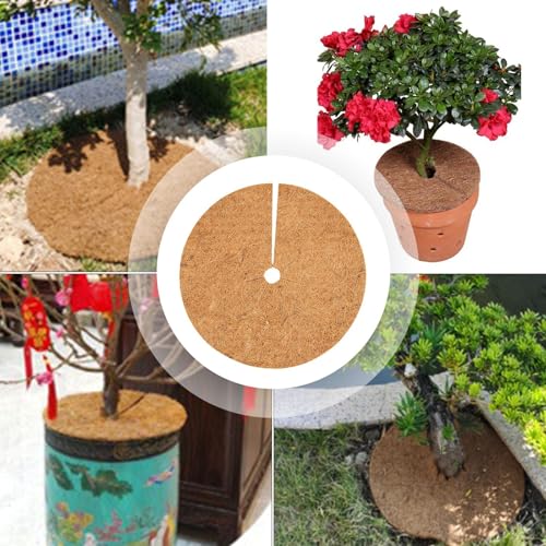 Pflanzenschutzmatten aus Kokosfaser, perfekte Ergänzung für jeden Garten oder Kinderzimmer (40 cm) von ReachMall
