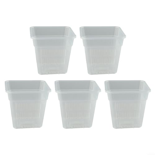 Quadratischer Blumentopf für Pflanzenwurzelbeobachtung und atmungsaktive Wachstumsumgebung (15 cm ohne Tablett) von ReachMall