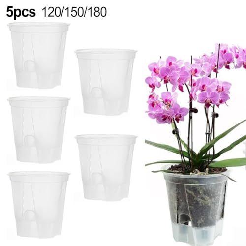 Transparente Kunststoff-Töpfe mit Untersetzer, perfekt für Orchideen, Sukkulenten und Zimmerpflanzen-Styling (180) von ReachMall