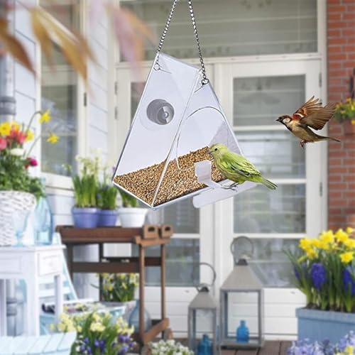 Vogelfutterstation mit Kamera, HD 1080P Nachtversion Kamera WiFi Fernverbindung, 170° Ultra-Weitwinkel Vogelhaus Kamera Kabellos Eingebauter Saugnapf von ReachMall