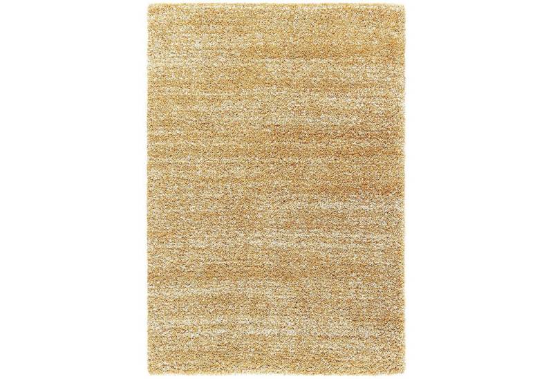 Ready Rugs Langflor-Teppich Handgetufteter Shaggy-Teppich von Ready Rugs