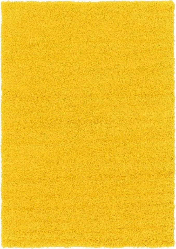 Ready Rugs Hochflor-Teppich Einfarbiger Teppich von Ready Rugs