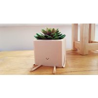 Kastentopf | Blumentopf Übertopf Sitzender Süsser Figur Kaktus Planter|Sukkulenten Aktiv von ReadySetMade