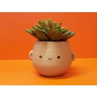 Gesichtstopf | Niedlicher Blumentopf Sitzender Übertopf Charakter Kaktus Sukkulente von ReadySetMade